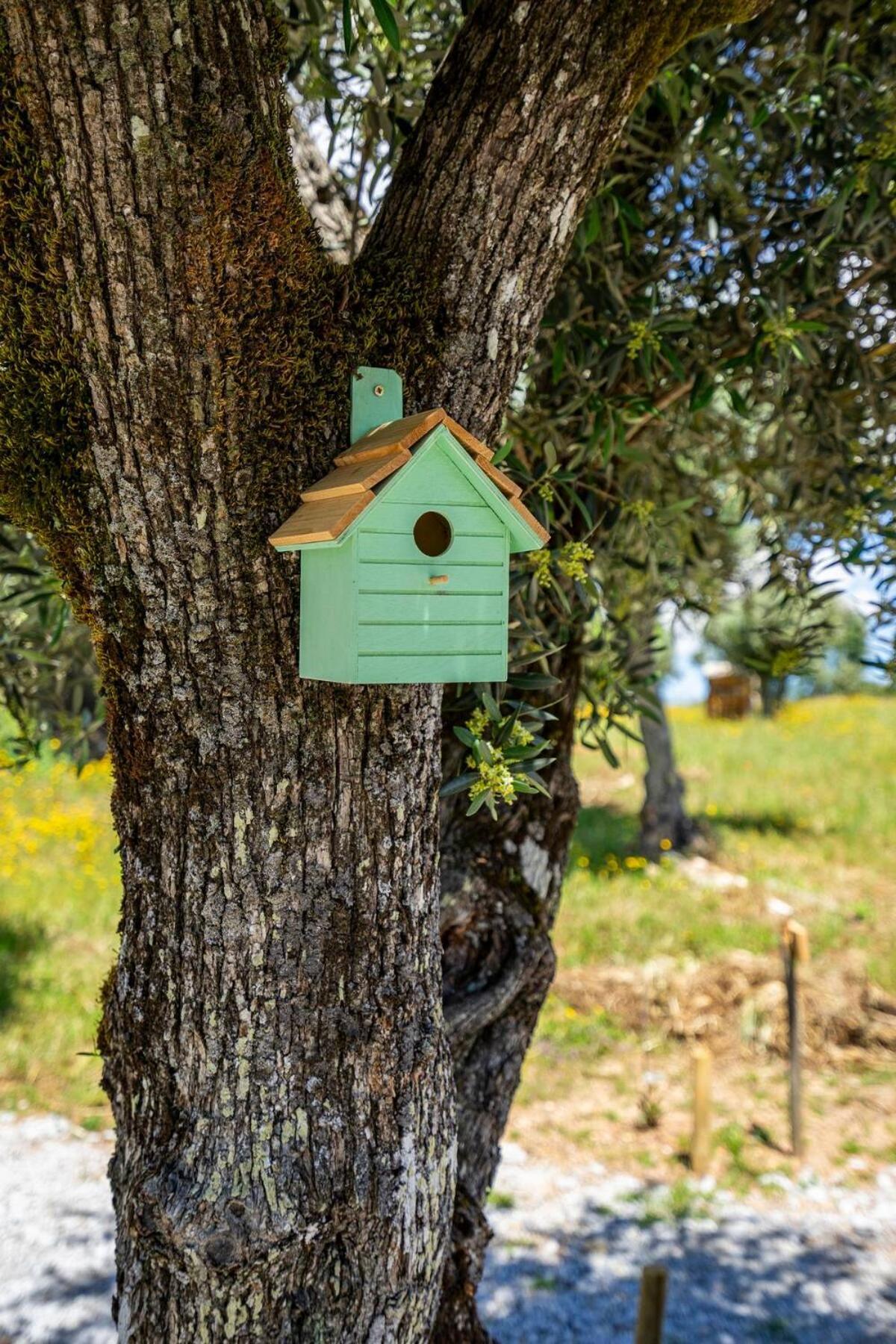 Moinho De Palma De Naturalegre Alegrete Dış mekan fotoğraf